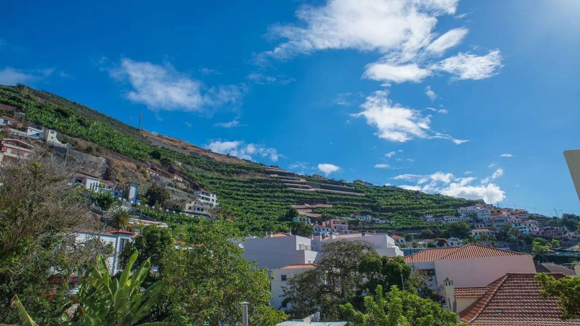 Accessible Apartment - Camara De Lobos - 105 M² - Parking Included 丰沙尔 0*,  葡萄牙